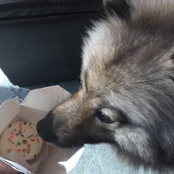Betty Bakery - Take out cupcake comes in a cute Chinese to go container! - Bakeries Near Me - Brooklyn, New York Betty Bakery - Take out cupcake comes in a cute Chinese to go container! - Bakeries Near Me - Brooklyn, New York