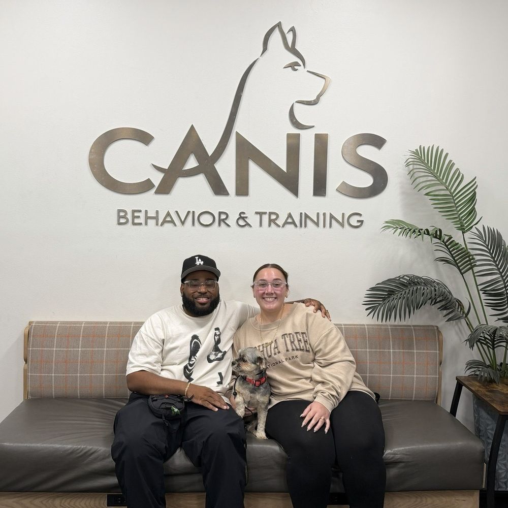 CANIS - Behavior and Training - Pet Training Near Me - Tarzana, California