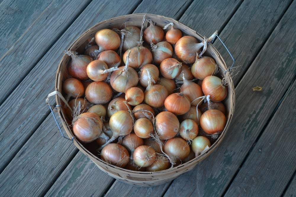 Food from Barefoot Gardens