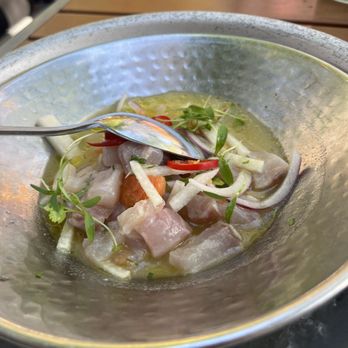 Oyamel - Ceviche con citricos - Mexican Near Me - Washington, DC, District of Columbia
