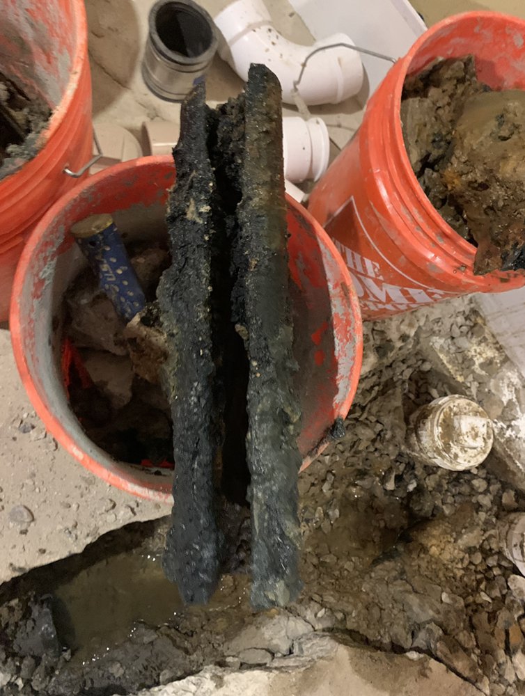 Slide of DNA Honest Plumbing