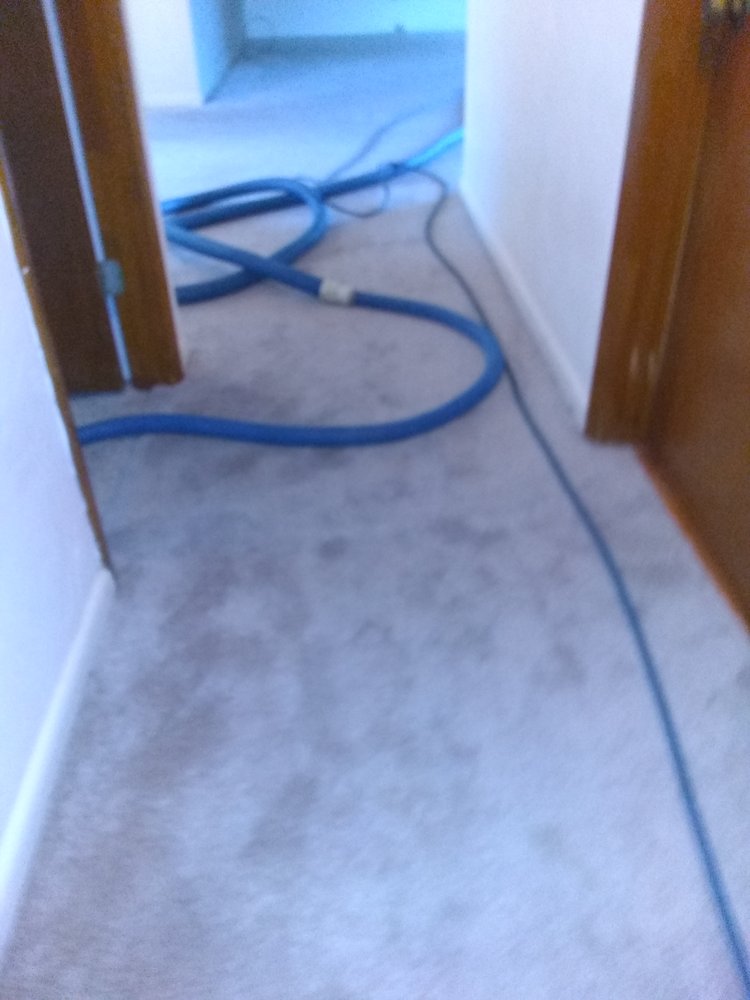 CARPET SPARKLE CARPET CLEANING Updated June 2024 91 Photos 629 NW