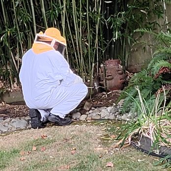 Rodgers Pest Control - Pest Control Near Me Rodgers Pest Control - Pest Control Near Me