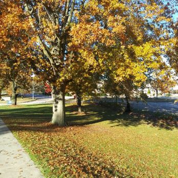 Ashland Tree Service - Tree Services Near Me - Raleigh, North Carolina Ashland Tree Service - Tree Services Near Me - Raleigh, North Carolina