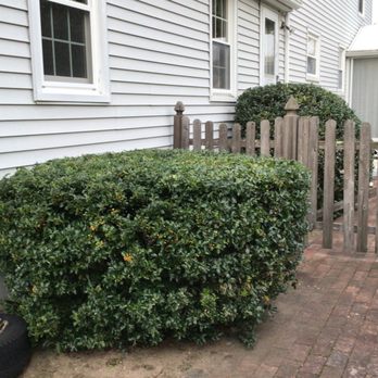 Perez Landscaping - Landscaping Near Me - Springfield, Massachusetts