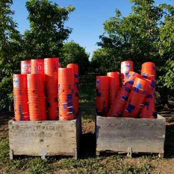 Maggiore Ranches - Forget your bucket, they got you covered. - Fruits & Veggies Near Me - Byron, California