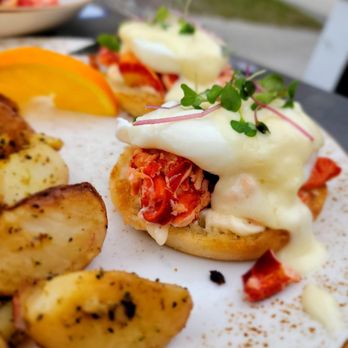 Clear Sky Cafe - Lobster Brie Bennie - New American Near Me - Clearwater, Florida