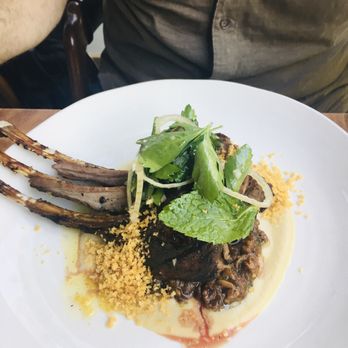 Martina - Lamb - Argentine Near Me - Minneapolis, Minnesota