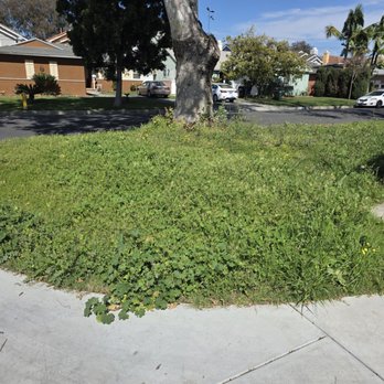 ITH Landscape - Landscaping Near Me