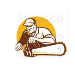 D & S Tree Service