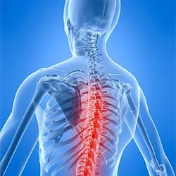 Michael G Robbins, DC - At Markham Chiropractic, Dr Michael G Robbins enlists cutting-edge treatment options for serious and persistent neck and back...