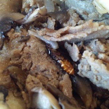 Moochie's Cheesesteaks - Cockroach in Cheese Steak Sandwich - Sandwiches Near Me - Midvale, Utah Moochie's Cheesesteaks - Cockroach in Cheese Steak Sandwich - Sandwiches Near Me - Midvale, Utah