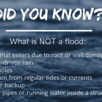 Jerry Hallman - Goosehead Insurance - What isn't a Flood - Home & Rental Insurance Near Me - Tacoma, Washington Jerry Hallman - Goosehead Insurance - What isn't a Flood - Home & Rental Insurance Near Me - Tacoma, Washington