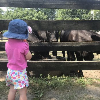 Frying Pan Farm Park - Parks Near Me - Herndon, Virginia Frying Pan Farm Park - Parks Near Me - Herndon, Virginia