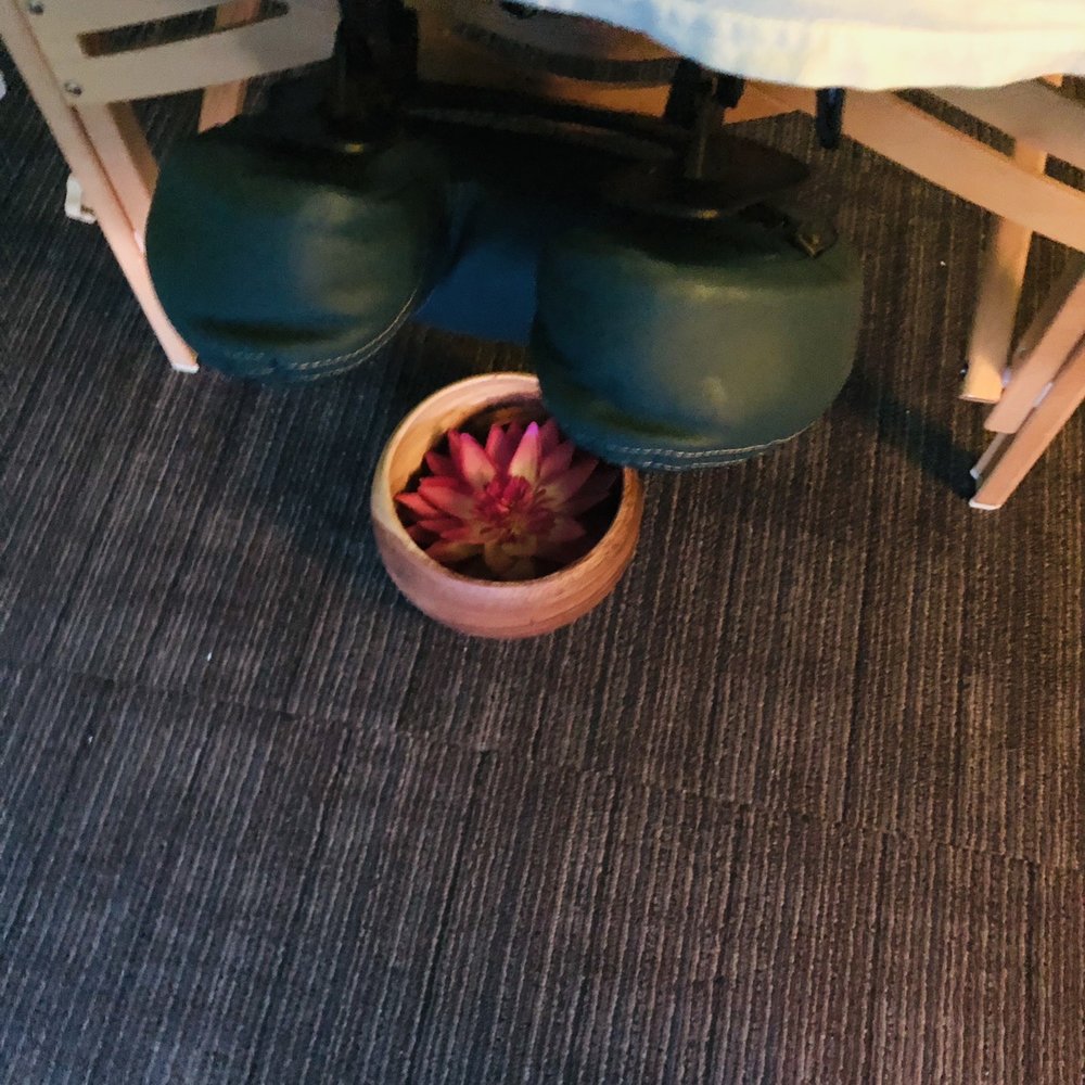 Upper Thai Massage - Beautiful flower to look at while lying on massage table. - Massage Near Me - Honolulu, Hawaii Upper Thai Massage - Beautiful flower to look at while lying on massage table. - Massage Near Me - Honolulu, Hawaii
