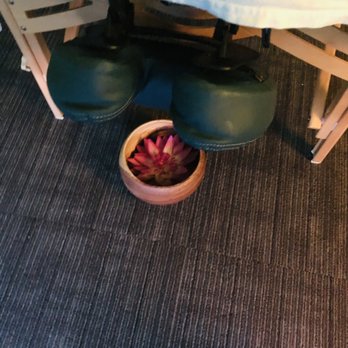 Upper Thai Massage - Beautiful flower to look at while lying on massage table. - Massage Near Me - Honolulu, Hawaii
