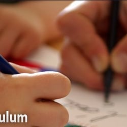 Learning Tree Academy