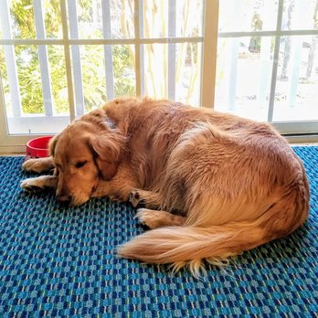 Canalside Inn - Riley clearly approves - Hotels Near Me - Rehoboth Beach, Delaware Canalside Inn - Riley clearly approves - Hotels Near Me - Rehoboth Beach, Delaware