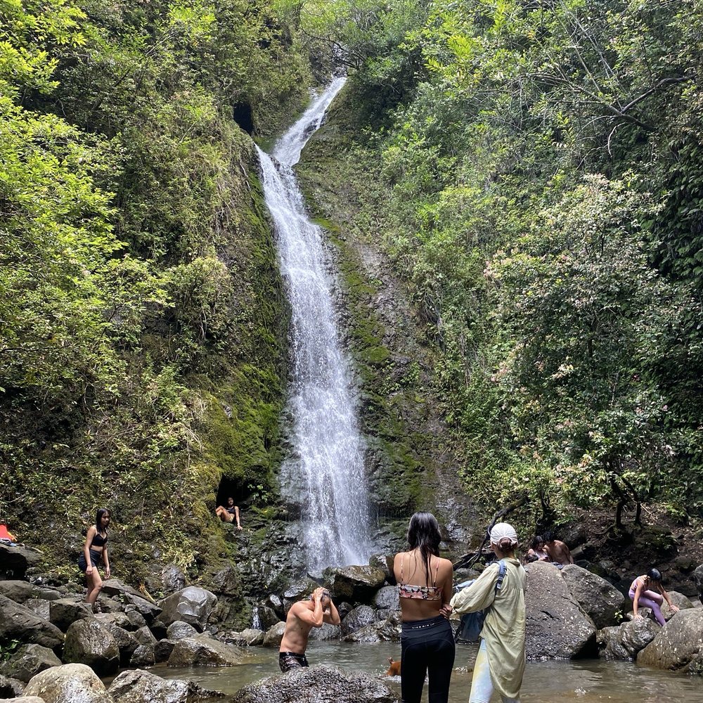 Lulumahu Falls - Hiking Near Me - Honolulu, Hawaii Lulumahu Falls - Hiking Near Me - Honolulu, Hawaii