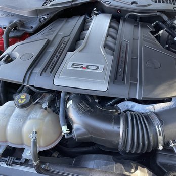 Bulldog Auto Detailing - Temple - Auto Detailing Near Me - Temple, Texas