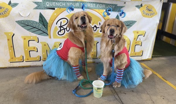 Frisco Fresh Market by null