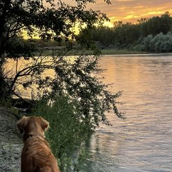 I-80 Lakeside Campground - Down by the river that runs parallel to back of campground.