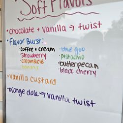 The Ice Cream Shop