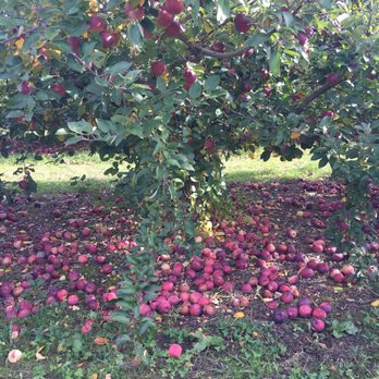 Barton Orchards - Farmers Market Near Me - Poughquag, New York
