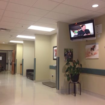 BluePearl Pet Hospital Kirkland - TV with HGTV on. Kind of funny since everyone in the waiting room with me is women over 35. - Veterinarians Near Me - Kirkland, Washington BluePearl Pet Hospital Kirkland - TV with HGTV on. Kind of funny since everyone in the waiting room with me is women over 35. - Veterinarians Near Me - Kirkland, Washington