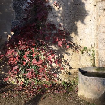 The Oxford Botanic Garden - Shopping Near Me - Oxford, OXF