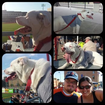 Fifth Third Field - Hens and Hounds night 2016 - Stadiums & Arenas Near Me - Toledo, Ohio Fifth Third Field - Hens and Hounds night 2016 - Stadiums & Arenas Near Me - Toledo, Ohio