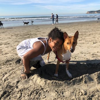 Coronado Dog Beach - Happy days at Coronado Dog Beach - Beaches Near Me - Coronado, California Coronado Dog Beach - Happy days at Coronado Dog Beach - Beaches Near Me - Coronado, California