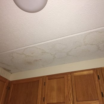 Mold And Water Leaks On Ceiling In Kitchen Yelp