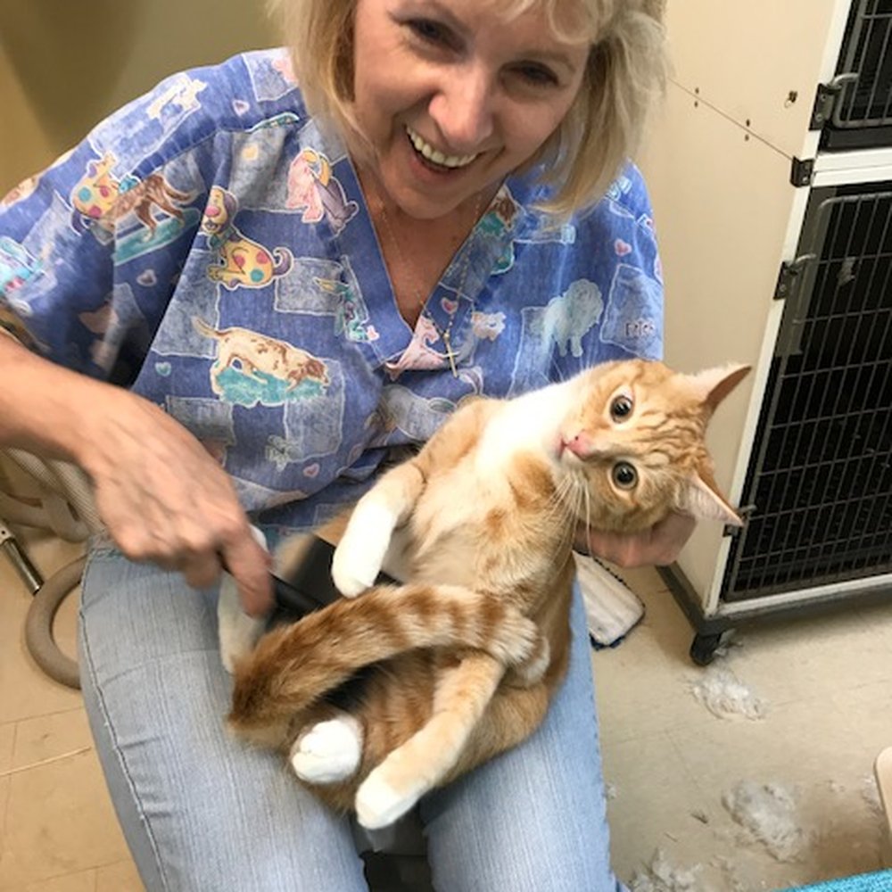 Seaside Grooming - Lisa is great with my Jakey!! - Pet Groomers Near Me - Playa Del Rey, California Seaside Grooming - Lisa is great with my Jakey!! - Pet Groomers Near Me - Playa Del Rey, California