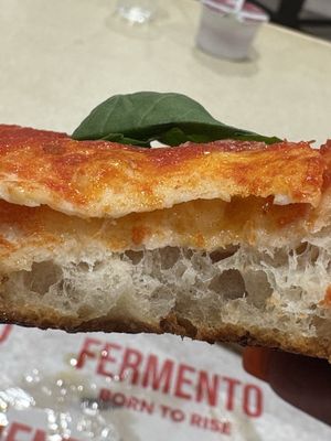 Fermento Pizza NYC by null