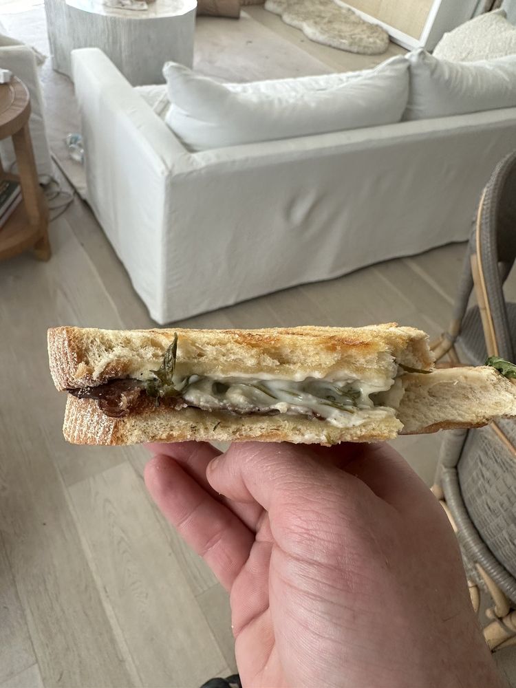 The Green Panini Logo