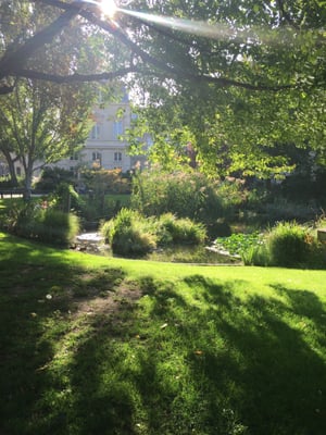 Square du Temple - Elie Wiesel by null