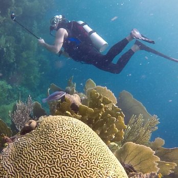 Dive World - Mario shooting an movie in Utila - Scuba Diving Near Me - Toronto, Ontario