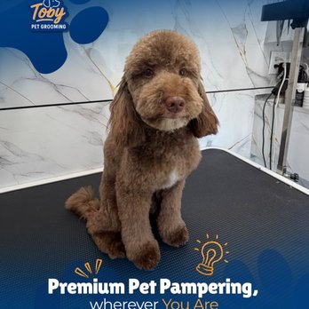 Toby Pet Grooming - Pet Groomers Near Me - Sunrise, Florida Toby Pet Grooming - Pet Groomers Near Me - Sunrise, Florida