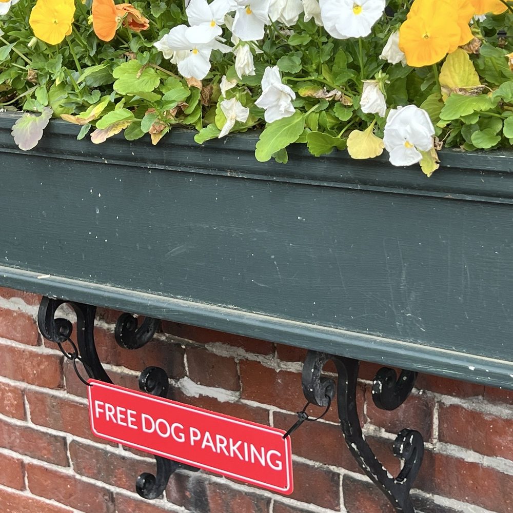Spot to park your dog. They leave out water for them too. Spot to park your dog. They leave out water for them too.