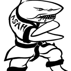 Action Karate Cinnaminson