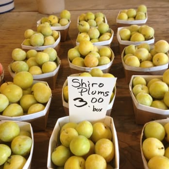 Roe Orchards - Fruits & Veggies Near Me - Chester, New York Roe Orchards - Fruits & Veggies Near Me - Chester, New York