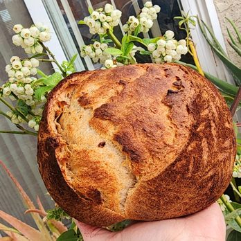 Heritage Rise Sourdough - Double Sour - Bakeries Near Me - Elk Grove, California Heritage Rise Sourdough - Double Sour - Bakeries Near Me - Elk Grove, California