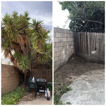 MTS Landscape - Landscaping Near Me - Moreno Valley, California MTS Landscape - Landscaping Near Me - Moreno Valley, California