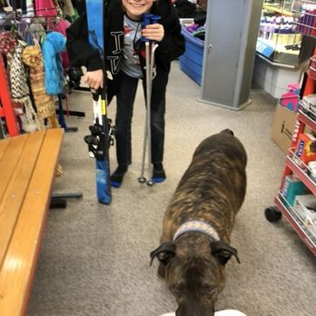 Windham Mountain Outfitters - "Ritalin" makes off with my son's flip flop while we get him sized for skis. - Bike Rentals Near Me - Windham, New York Windham Mountain Outfitters - "Ritalin" makes off with my son's flip flop while we get him sized for skis. - Bike Rentals Near Me - Windham, New York