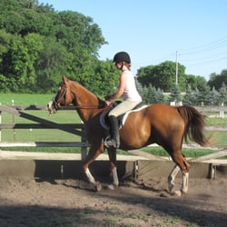 Pursley's Valley Stable - Aspen in the round pen