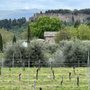 Photo of Agriturismo La Chiusetta
