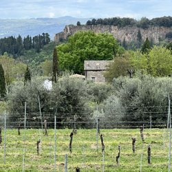 Agriturismo La Chiusetta