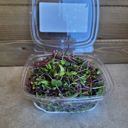 Delta Microgreens