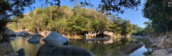 Vallarta Botanical Gardens AC by null